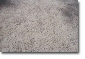 Photograph of a brick wall.