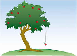 Picture of an apple falling from a tree. 