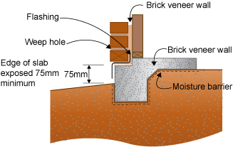 Termite protection deals