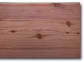 Photo of a piece of cypress pine.