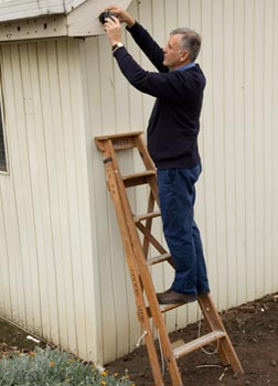 Image of a worker standing on a ladder