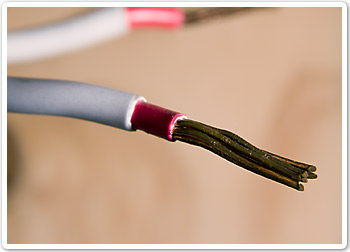 Photo showing insulation around a conductor