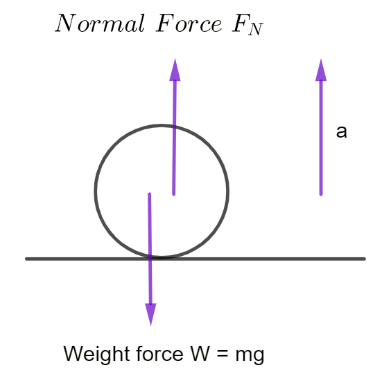 diagram of bouncing ball showing normal force up and weight down mg with resulting acceleration up